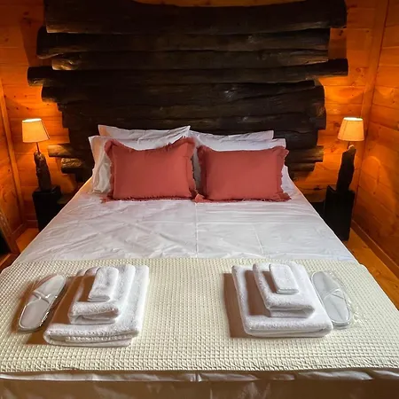 Wooden Luxury Villa