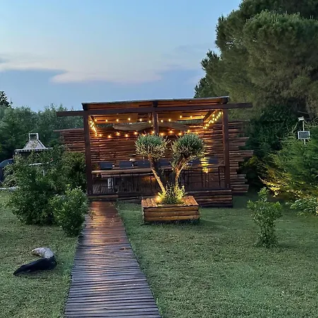 Wooden Luxury