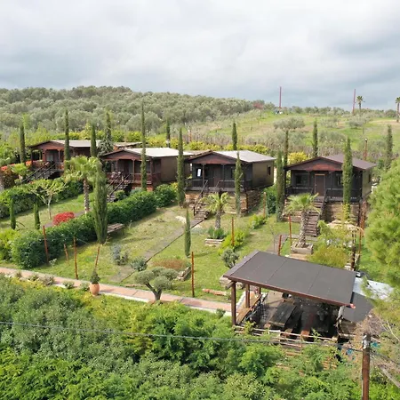 Villa Wooden Luxury