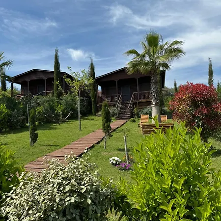Villa Wooden Luxury