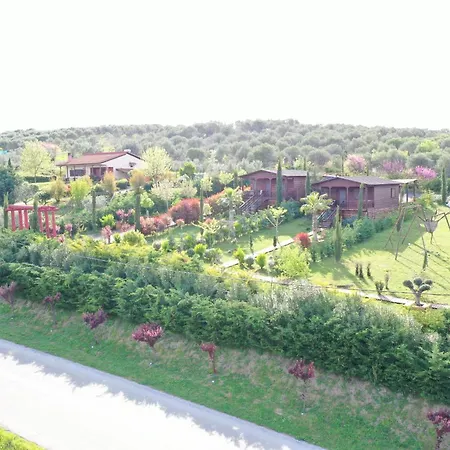 Wooden Luxury Villa