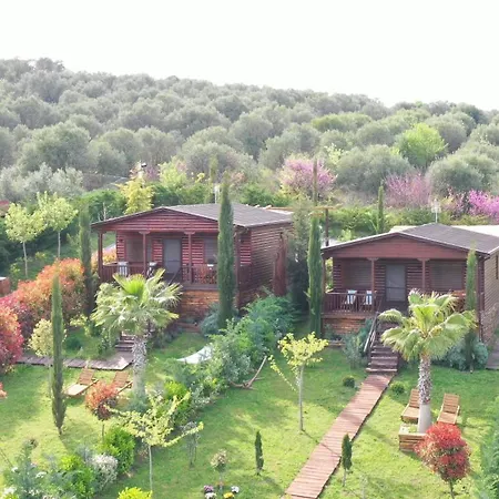 Villa Wooden Luxury Sfendamion